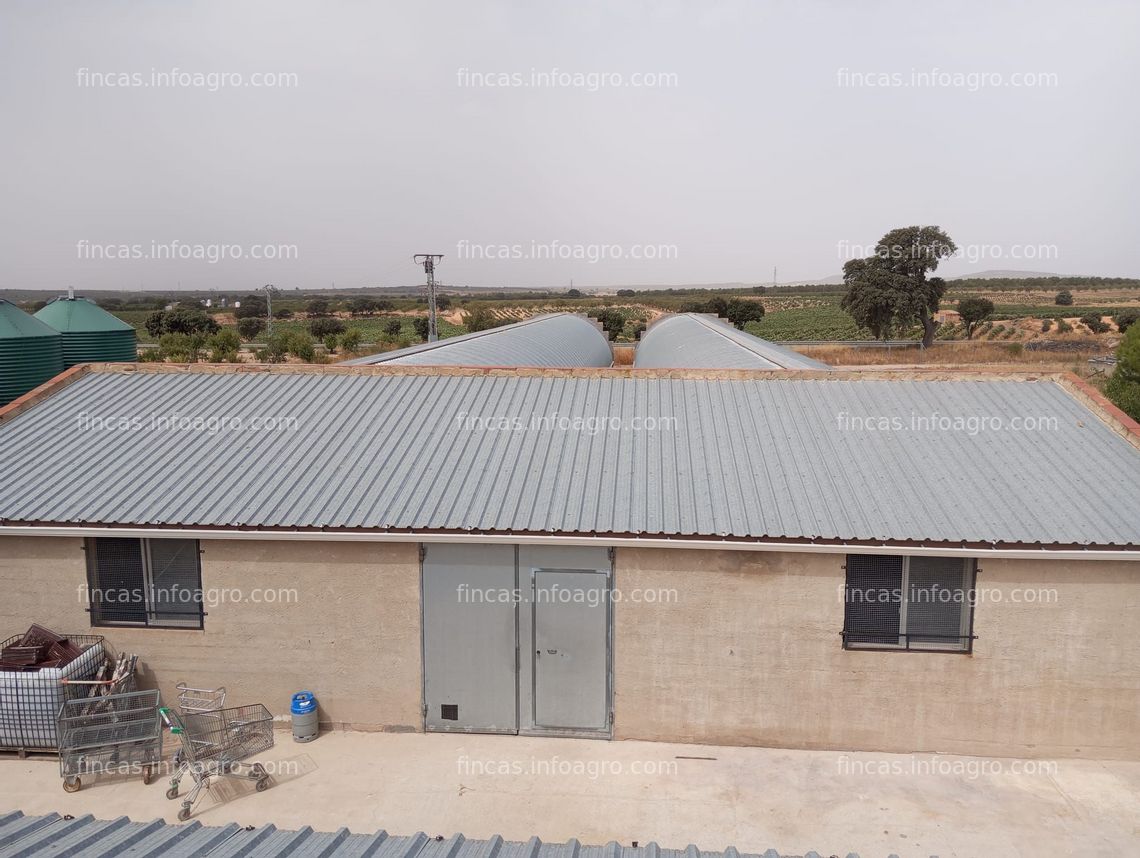 Fotos de A la venta Granja de conejos en Fuenterrobles