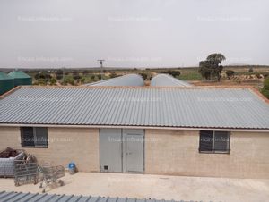 A la venta Granja de conejos en Fuenterrobles